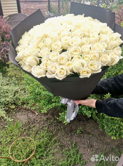 Букет роз. Розы