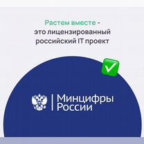 Готовый бизнес Видеонаблюдение, Сириус, Сочи