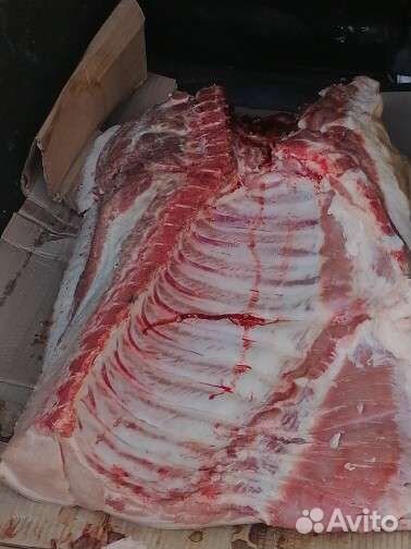 Мясо свинина