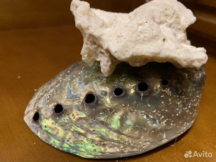 Орешница, мыльница, розетка, вазочка