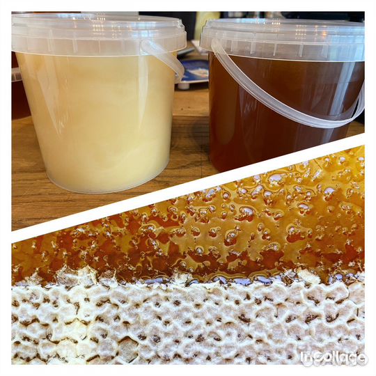 Мед и Воск пчелиный