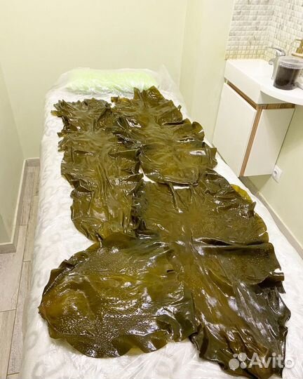 Водоросли для обертывания