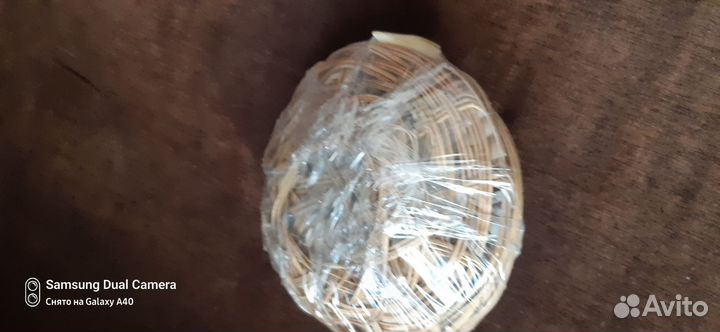 Набор морских ракушек