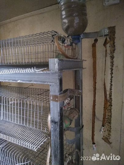 Клетка для птиц