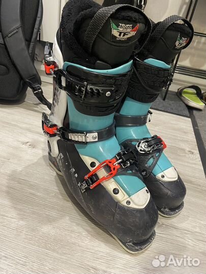 Горнолыжные ботинки dalbello