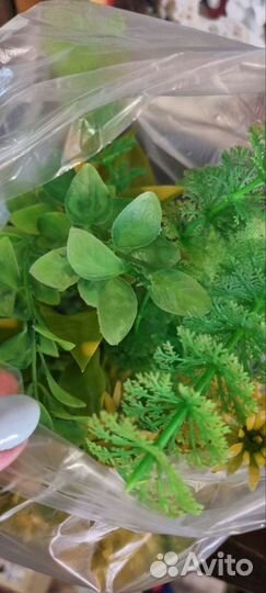 Украшения в аквариум (водоросли растения)