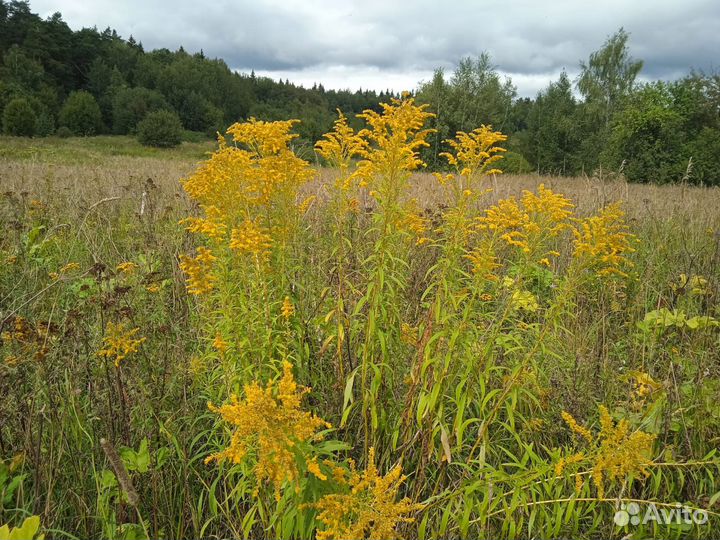 Инвестора приглашаю под залог участка 48 годовых