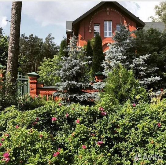 Йога тур, медитации