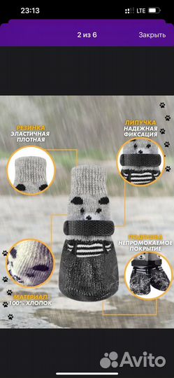 Носки для собак