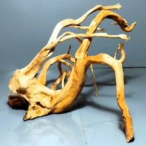 Коряга для аквариума паучий корень 22*15*22 вк33, Зеленоград
