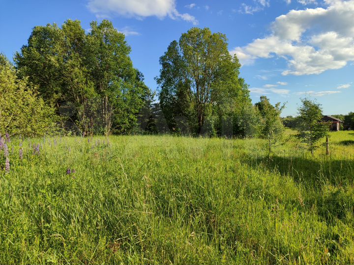 Участок 15 сот. (ИЖС)