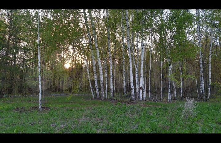 Участок 12 сот. (ИЖС)