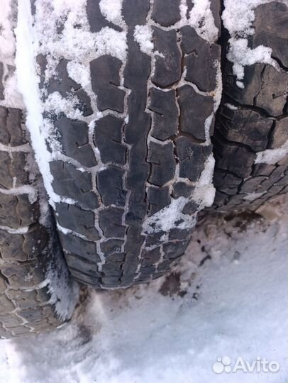 Шины Tyrex 11.00R20