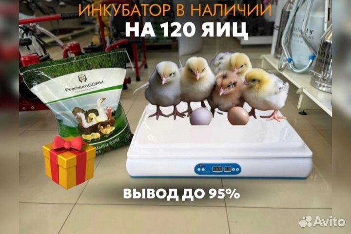 Инкубатор для яиц автоматический (в наличии)