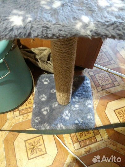 Когтеточка для кошек