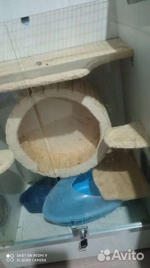 Витрина / клетка для шиншиллы