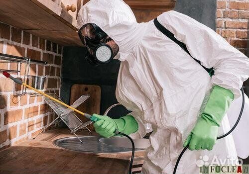 Уничтожение тараканов, клопов, муравьев