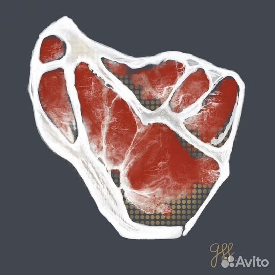 Иллюстрации