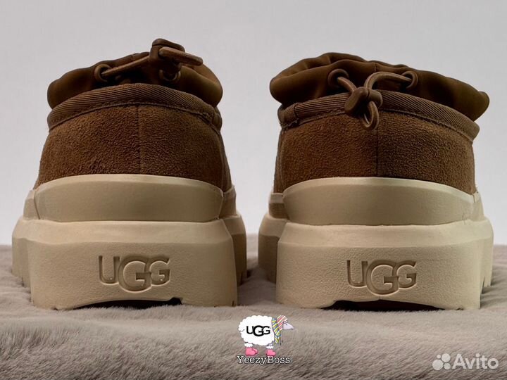 Кроссовки зимние женские Ugg Tasman Hybrid