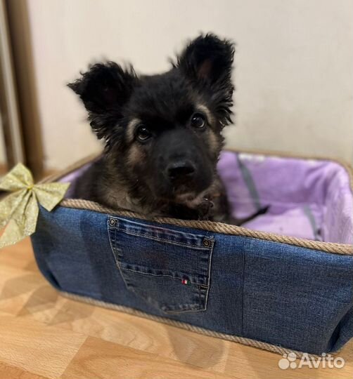Милая девочка, 1,5 месяца