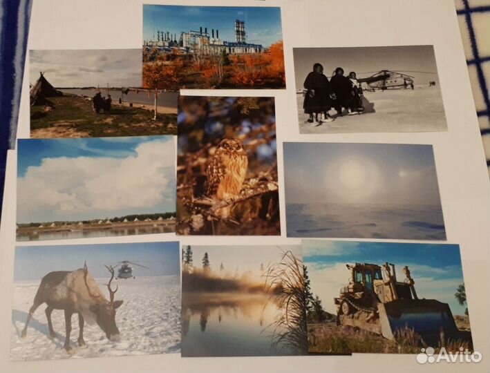 Фотокарточки 