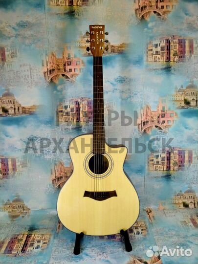 Гитара, электроакустическая (полный комплект и вст
