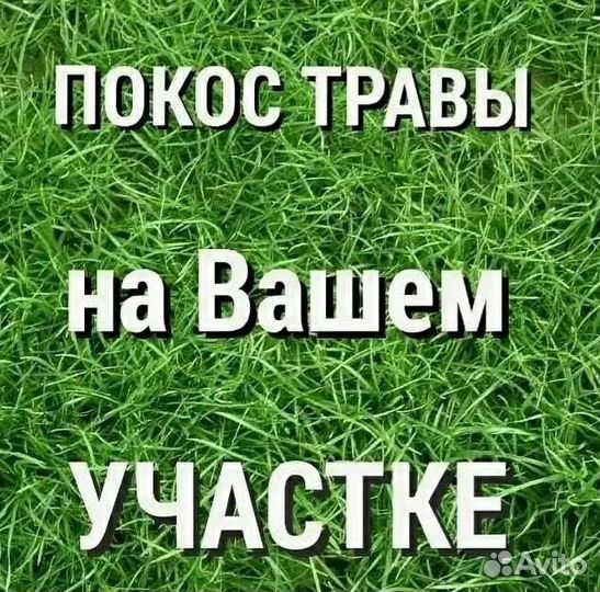 Покос травы. Вырубка мелколесья