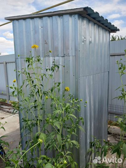 Уличный туалет