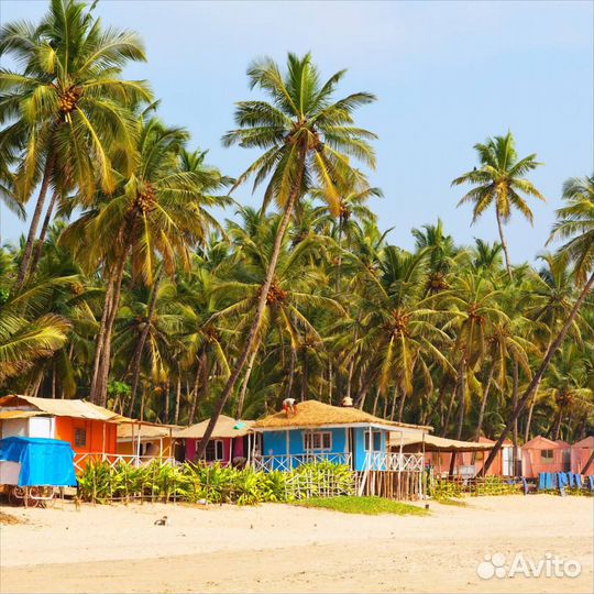 Горящий тур в Индию