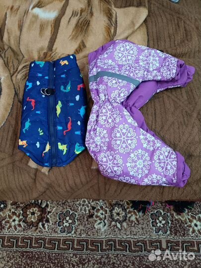 Одежда для собак