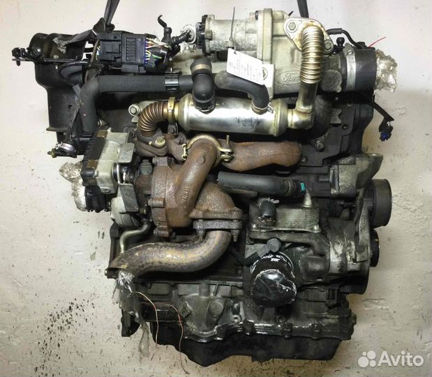 Двигатель Ford Focus Kkda 1.8 дизель 2009