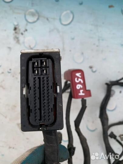 Жгут проводов