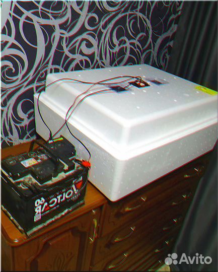 Инкубатор для яиц