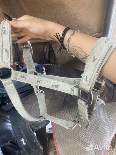 Недоуздок для пони и вальтрапы