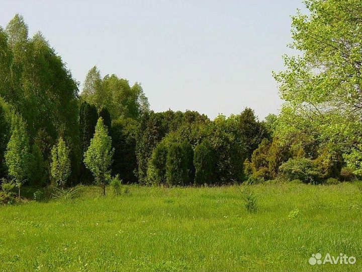 Подбор земельного участка (консультация )