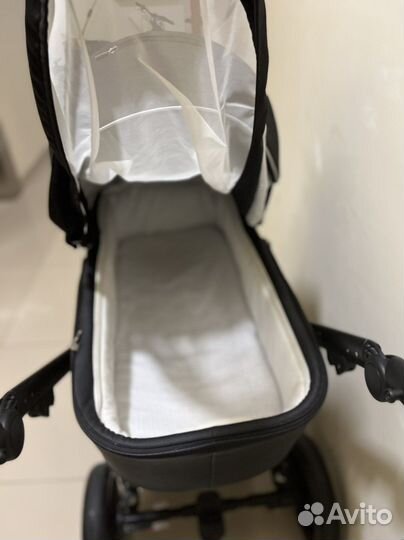 Коляска 2 в 1 adamex