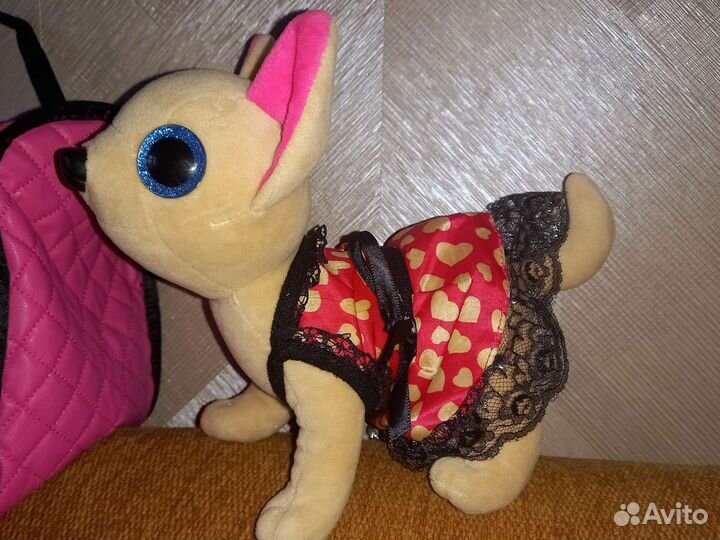 Собачка чичилав