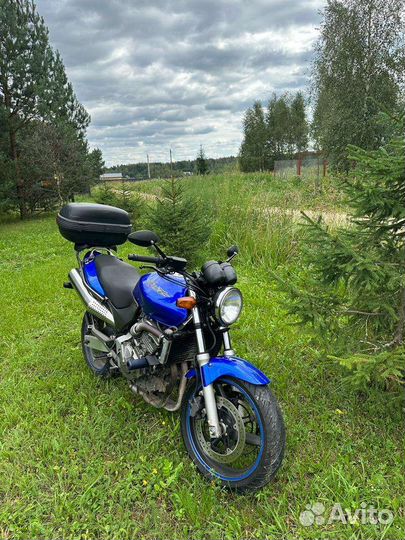Honda cb600f