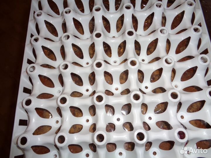 Лоток для яиц