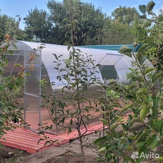 Теплица 3/6 от производителя