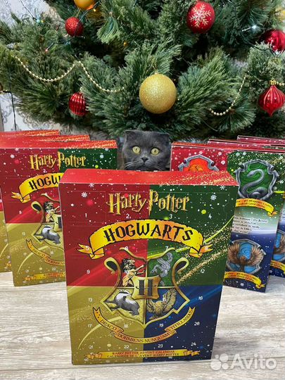 Гарри Поттер