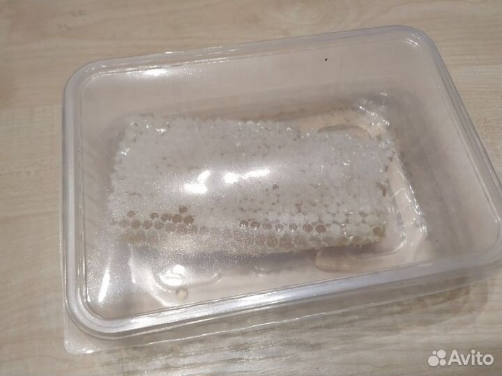 Мед в сотах