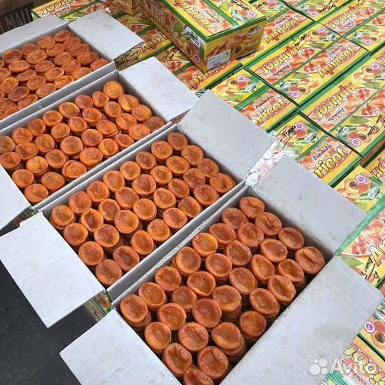 Курага разного сорта