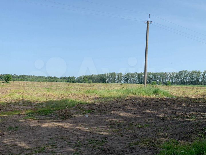 Участок 10 га (СНТ, ДНП)