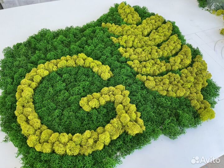 Стабилизированный мох