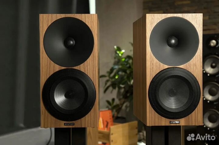 Акустическая система Amphion Argon3S Walnut