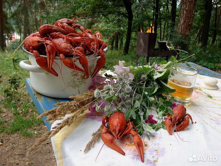 Живые раки