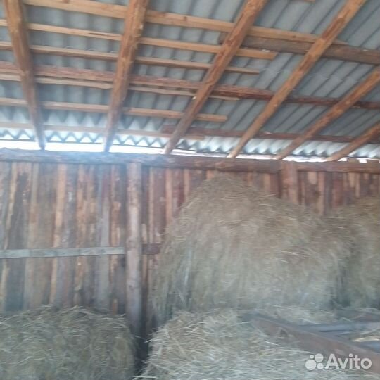 Сено в тюках