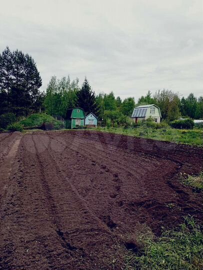Участок 5 сот. (СНТ, ДНП)