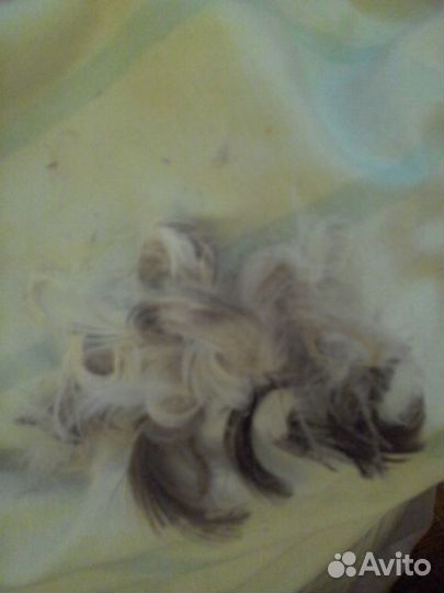 Пуховая перина